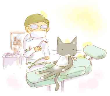 歯医者 定期的に行きますか ガールズちゃんねる Girls Channel