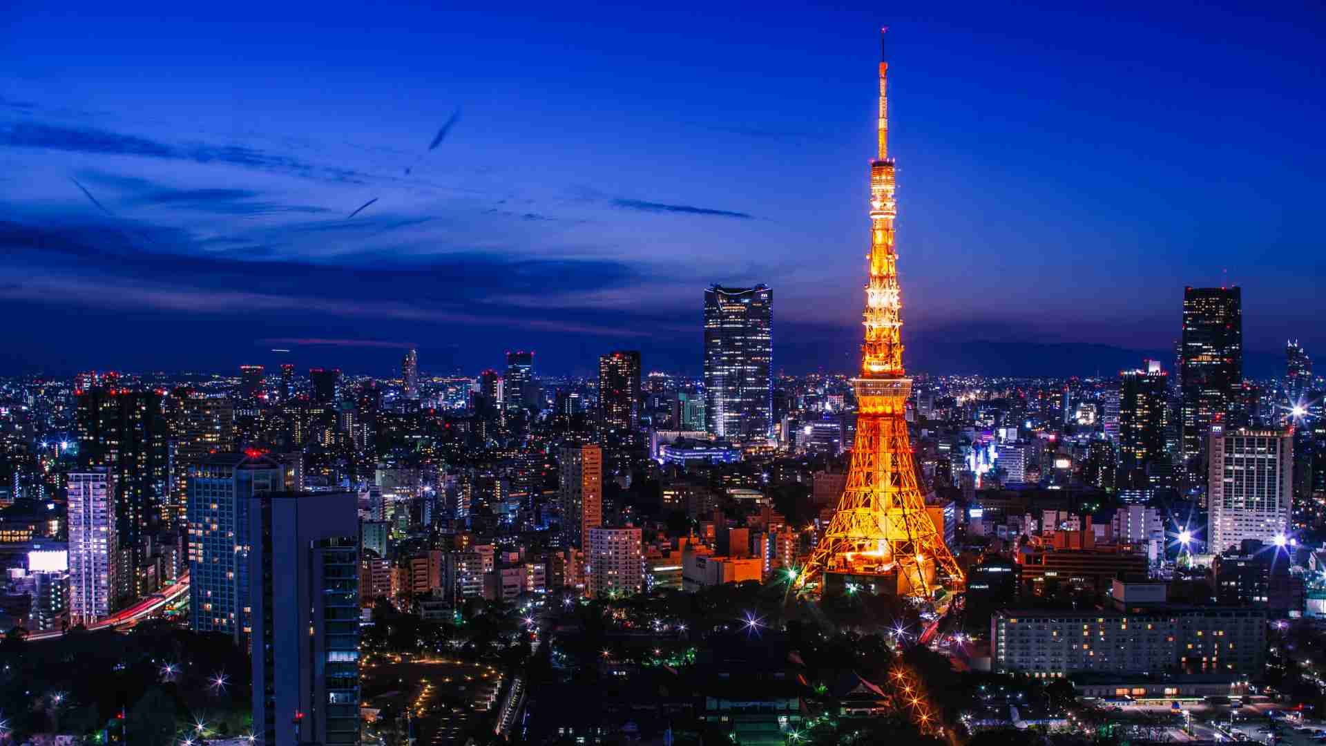 夜景を楽しむトピ