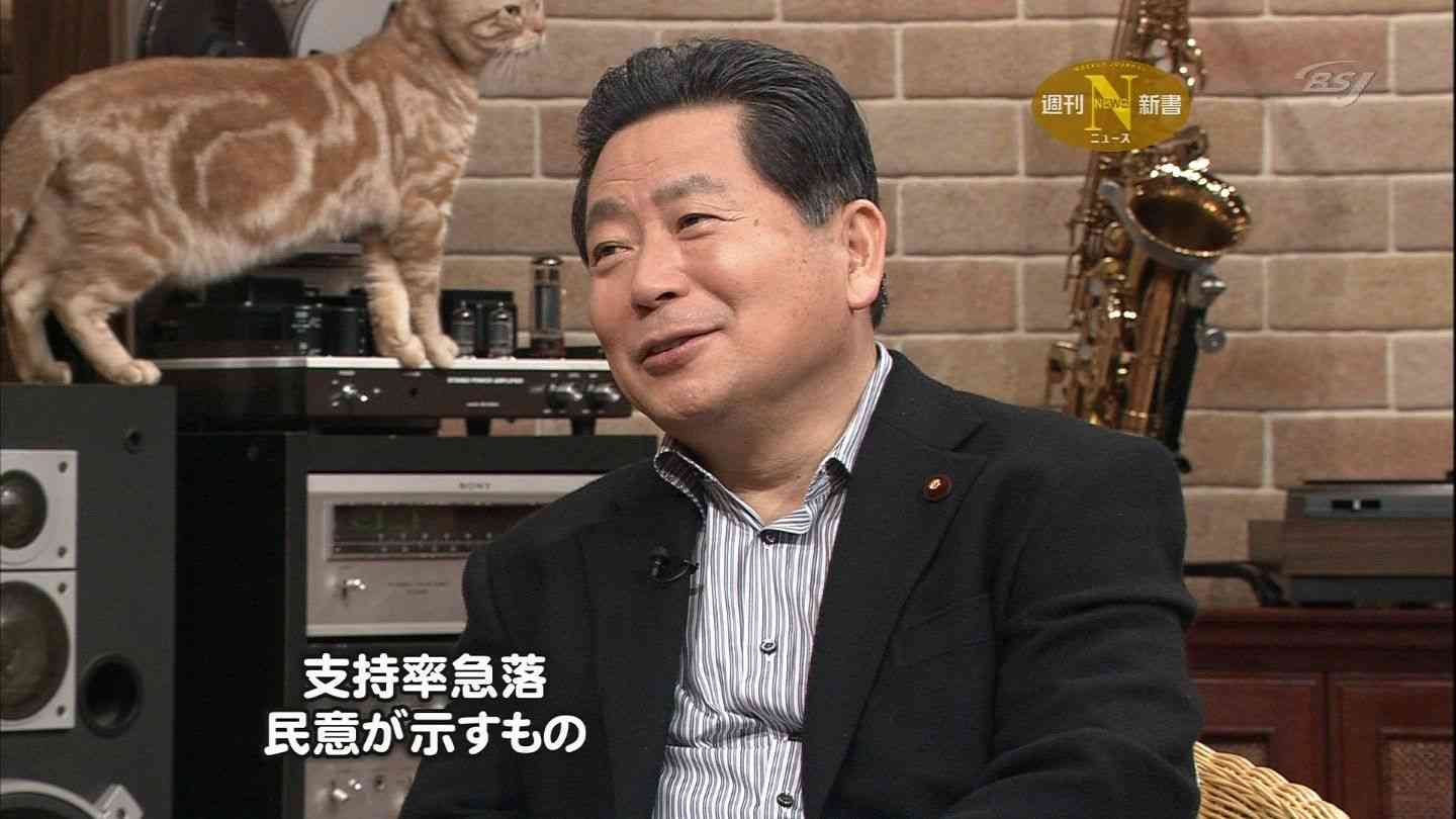 テレ東のニュース番組のアイドル猫「まーご」が自由すぎる　