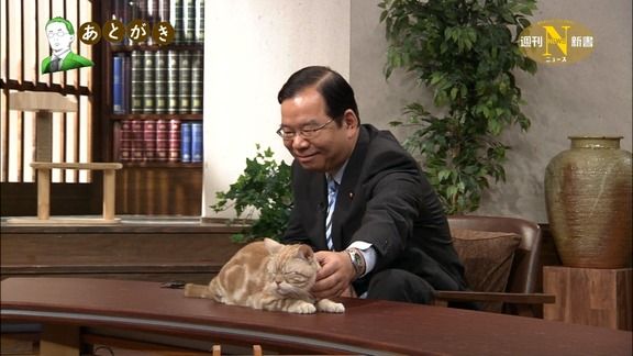 テレ東のニュース番組のアイドル猫「まーご」が自由すぎる　