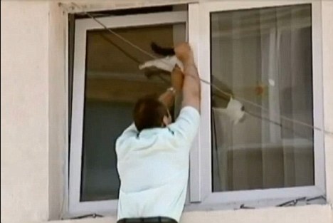 ドジって気まずい感じの猫の表情ｗｗ