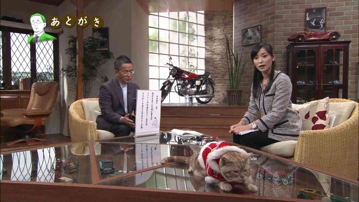 テレ東のニュース番組のアイドル猫「まーご」が自由すぎる　