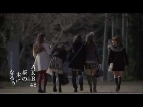 【MV】 桜の木になろう / AKB48 [公式] - YouTube