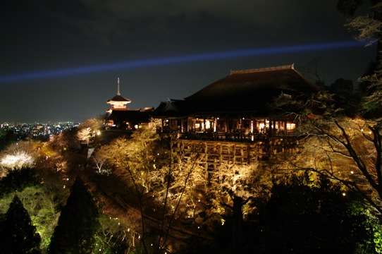 夜景を楽しむトピ