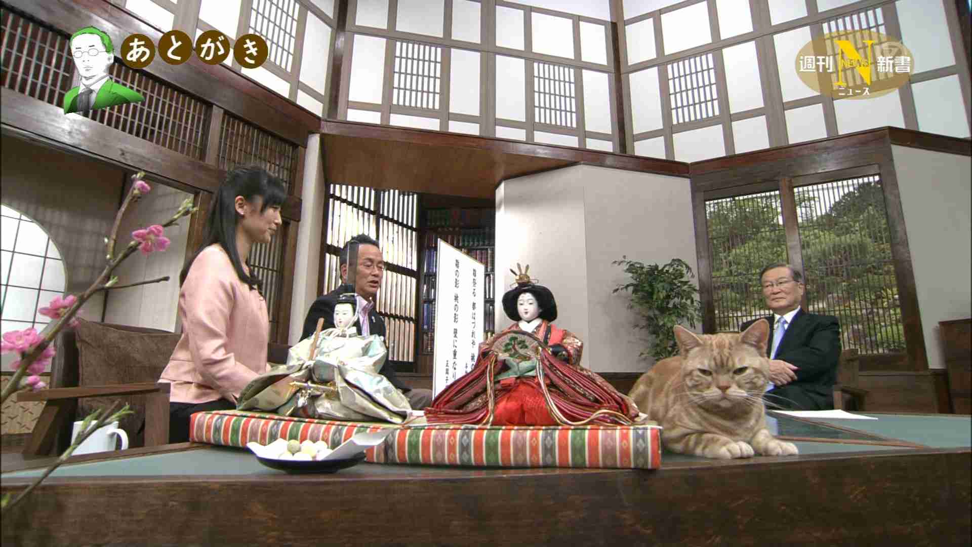 テレ東のニュース番組のアイドル猫「まーご」が自由すぎる　