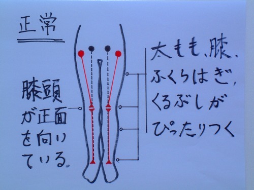 X脚について。