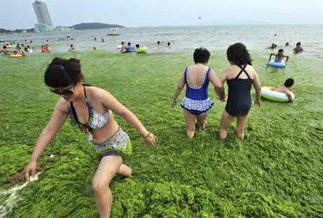 中国で撮影されたことがすぐに想像できる驚愕画像w