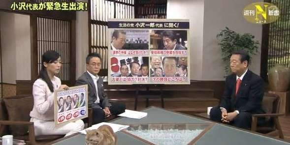 テレ東のニュース番組のアイドル猫「まーご」が自由すぎる　