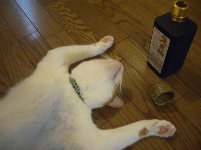 お酒好きだけど、禁酒した事がある方！