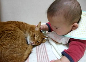 動物と赤ちゃんの組み合わせの画像を貼っていきましょう！