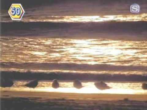 ぴちょんくん・もーどーにでもして - YouTube