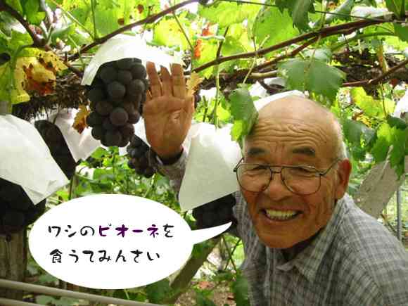 皆さんの地元で何狩りできますか？