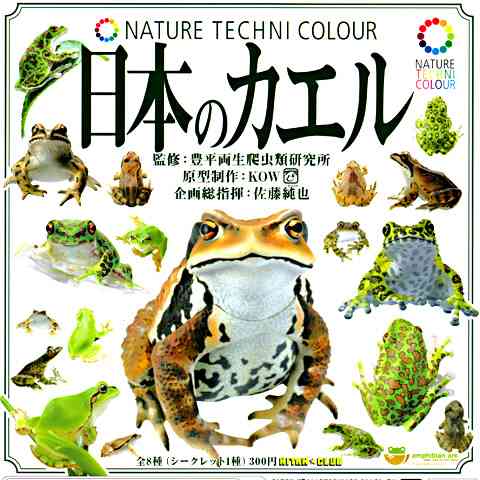 【苦手な人注意】爬虫類・両生類好きな方