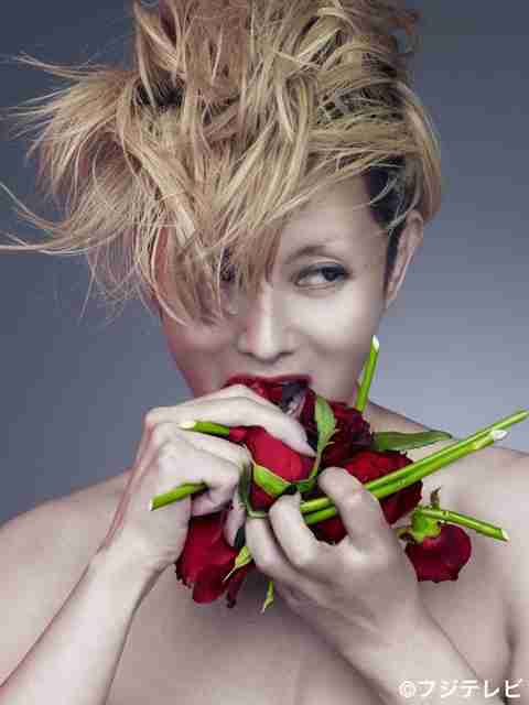 沢尻エリカ主演「ファーストクラス」に菜々緒、田畑智子ら前作の毒舌メンバー総出演