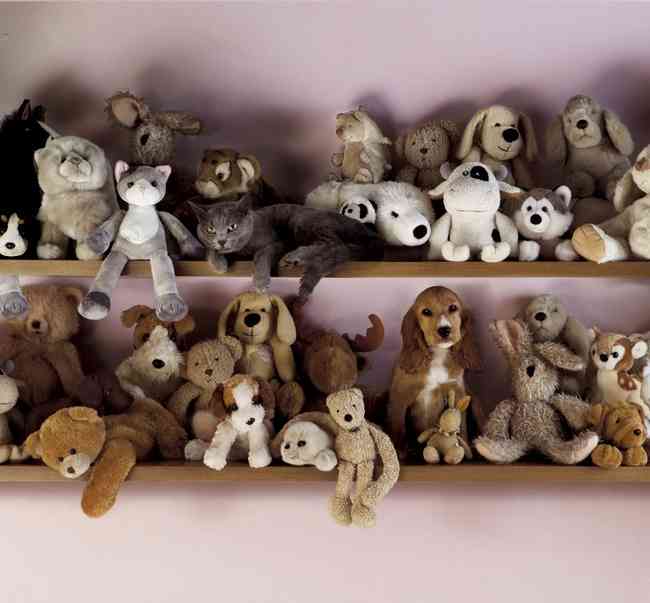 自分そっくりのぬいぐるみと一緒の動物画像