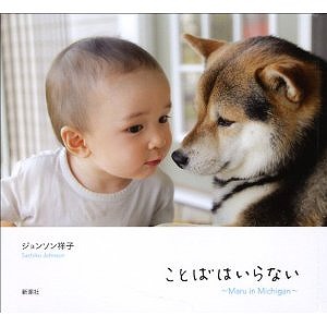 子供いらないけど結婚した方（したい方）いますか？