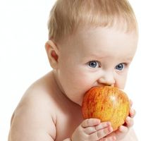 あなたのお子さんは大丈夫？味覚は子供の頃に決まるらしい・・ - NAVER まとめ
