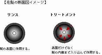 リンス、トリートメント、コンディショナーの違い