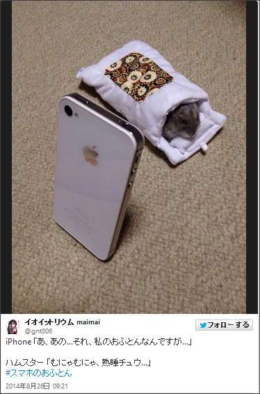 「それ、ぼくのお布団なんですけど…」 ハムスターに寝床を奪われたスマホたち