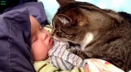 動物と赤ちゃんの組み合わせの画像を貼っていきましょう！