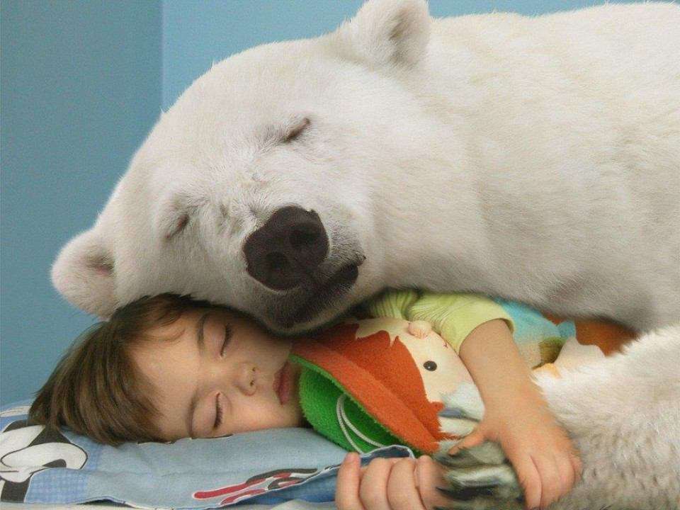 動物と赤ちゃんの組み合わせの画像を貼っていきましょう！