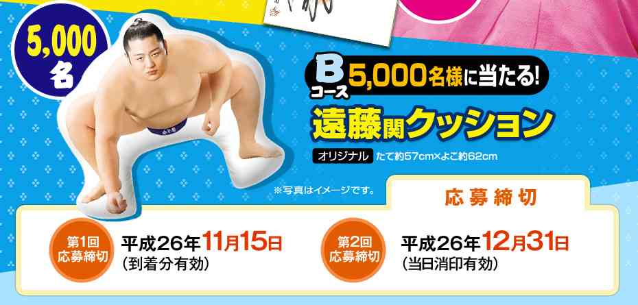 永谷園のキャンペーンで貰える「遠藤クッション」がすごいwww