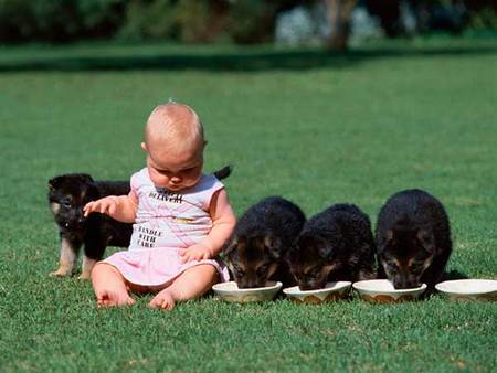 動物と赤ちゃんの組み合わせの画像を貼っていきましょう！