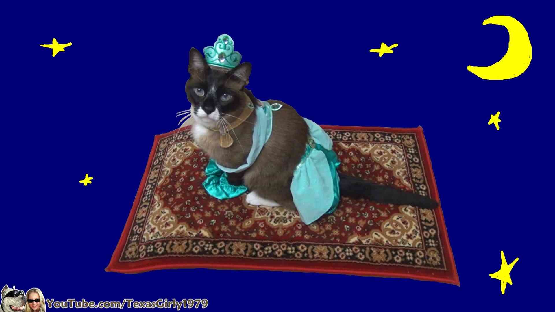 Cat Riding Magic Flying Carpet. #HappyHalloween  I TexasGirly1979 - YouTube