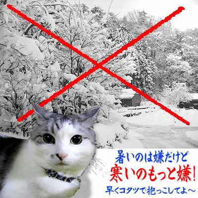 冬の訪れを感じるものは？