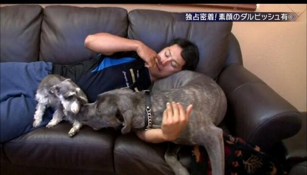 【気の毒】ダルビッシュ有選手が飼い犬をカットに出したらトンでもないことに！ネットの声「あり得ない」