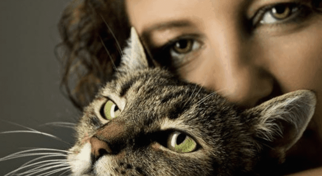 【いつかのために考えてほしい】「猫を安楽死させました。」をどう思う？ | BuzzNews(バズニュース)　