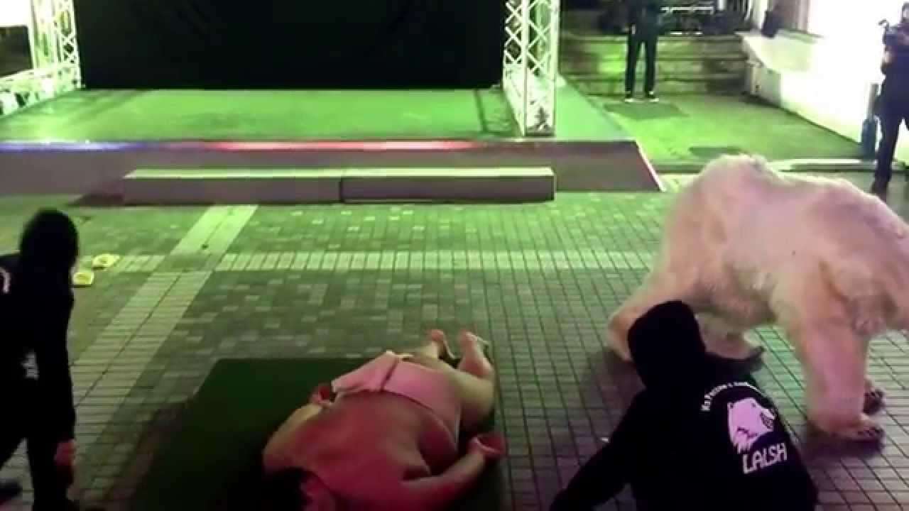 新宿にシロクマ出没！ a polar bear in Shinjuku - YouTube
