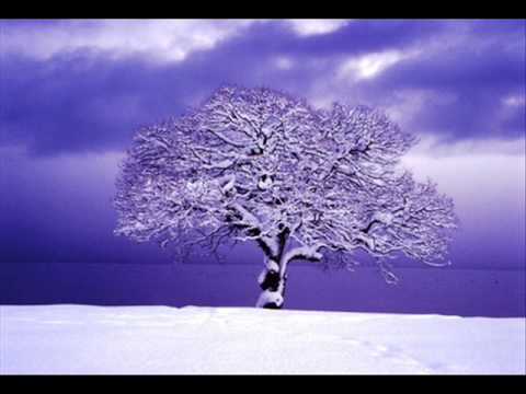 君は愛されるために生まれた - YouTube