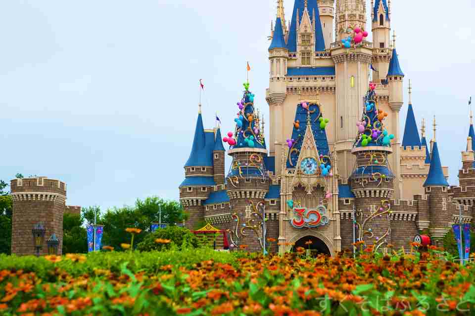 冬のディズニーランドの楽しみ方