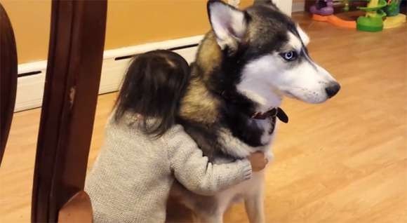 動物と赤ちゃんの組み合わせの画像を貼っていきましょう！