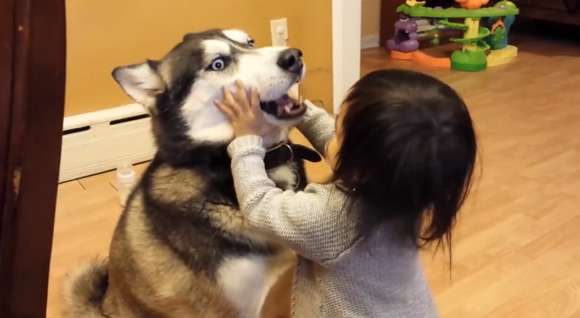 動物と赤ちゃんの組み合わせの画像を貼っていきましょう！