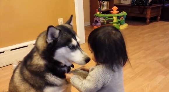 動物と赤ちゃんの組み合わせの画像を貼っていきましょう！