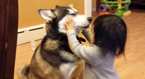 動物と赤ちゃんの組み合わせの画像を貼っていきましょう！
