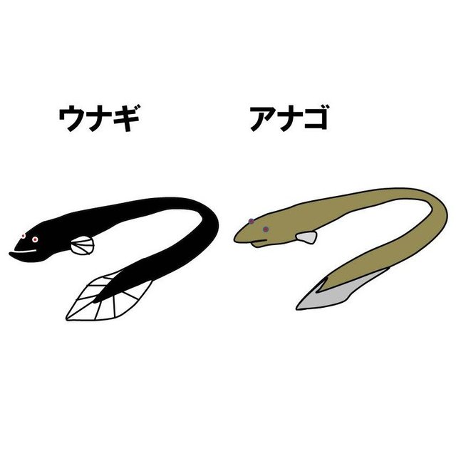 違いが分からないもの