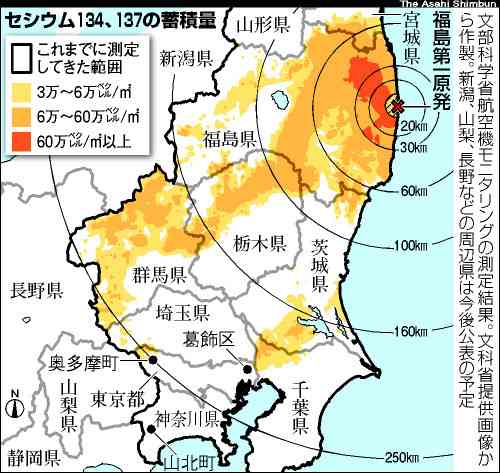 太陽光発電って正直どうですか？