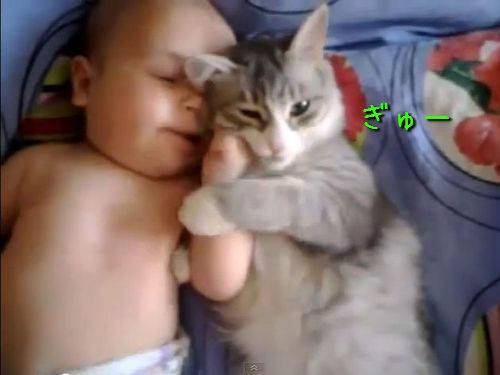 動物と赤ちゃんの組み合わせの画像を貼っていきましょう！