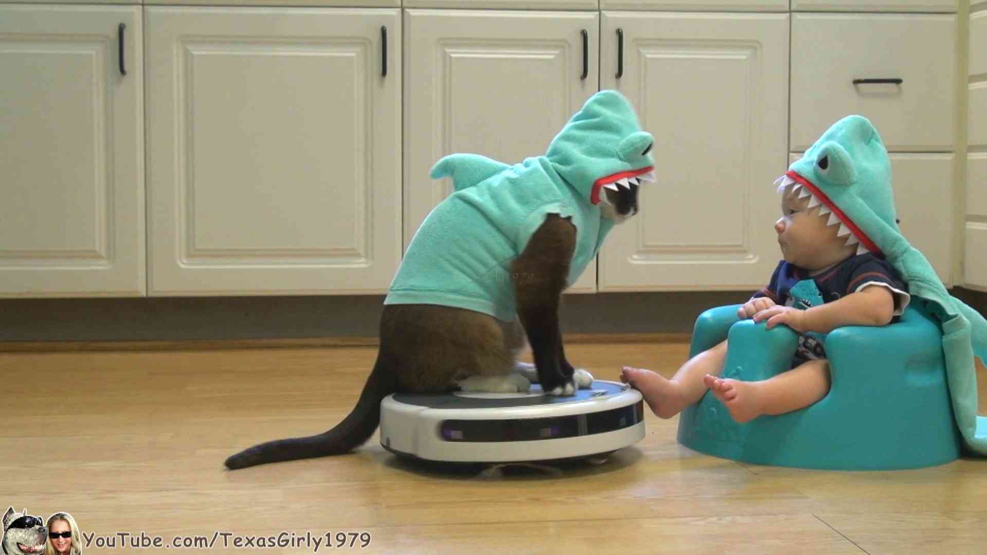 #SharkCat Entertains #SharkBaby! Happy #SharkWeek!!!  | TexasGirly1979 - YouTube