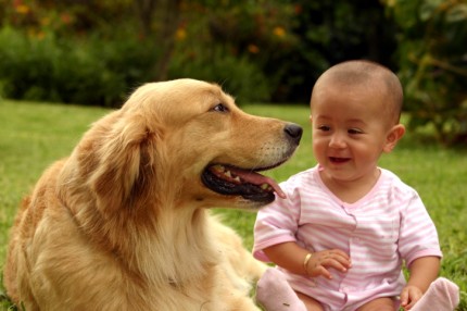 動物と赤ちゃんの組み合わせの画像を貼っていきましょう！