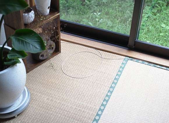 コードかテープがあればよい。驚くほど猫がホイホイする、猫転送装置の作り方がブレイク中