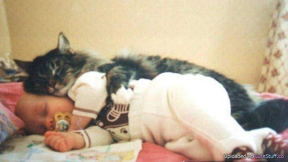 動物と赤ちゃんの組み合わせの画像を貼っていきましょう！