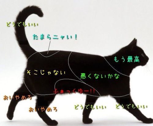 お酒好きだけど、禁酒した事がある方！