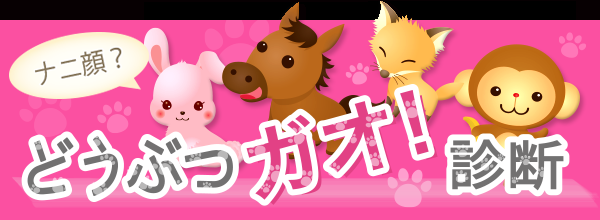 ネコ顔女子はモテまくり?!どうぶつ顔で診断