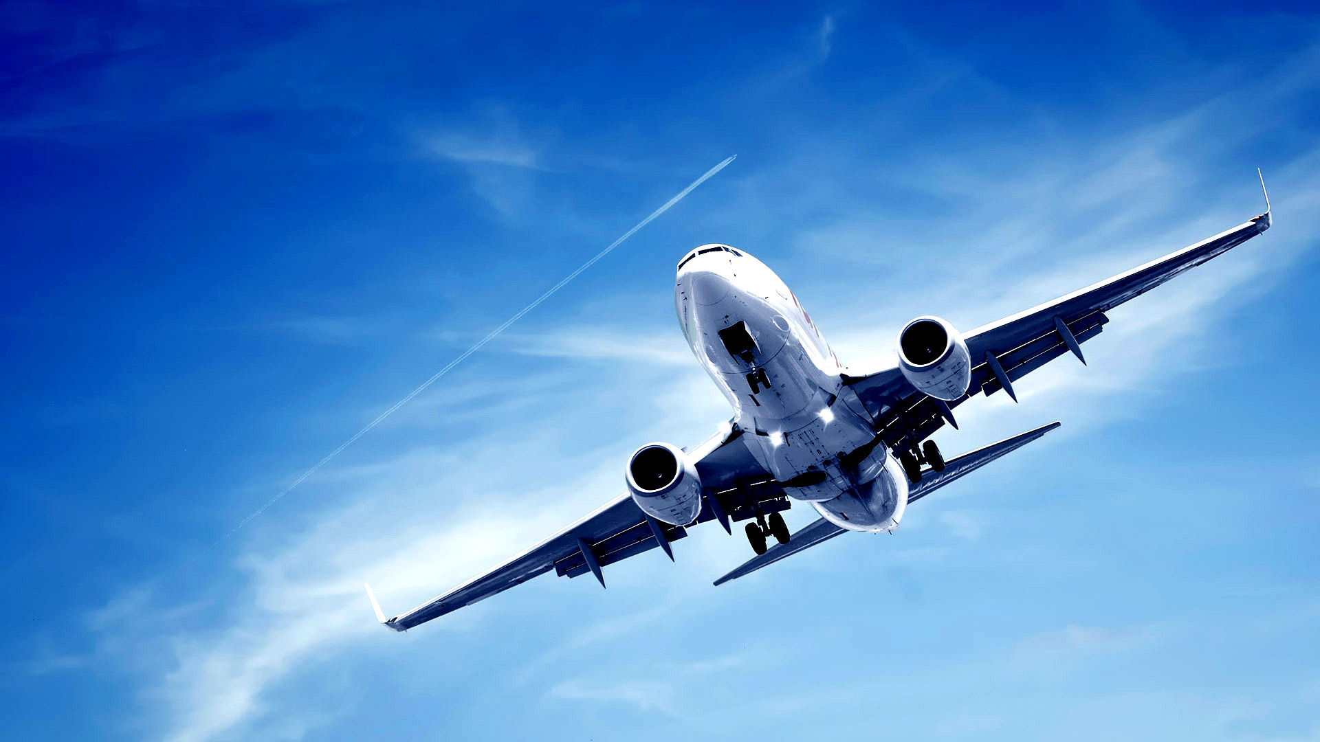 飛行機を利用する際、フルサービスキャリアとLCC、どちらを利用されますか？