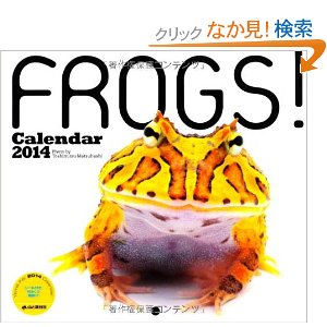 【苦手な人注意】爬虫類・両生類好きな方