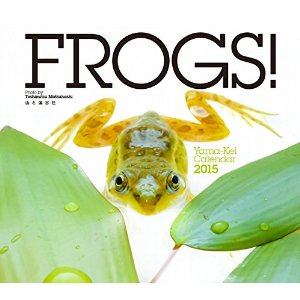 【苦手な人注意】爬虫類・両生類好きな方